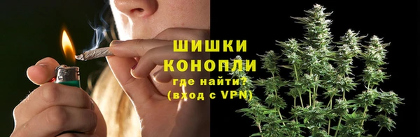 ПСИЛОЦИБИНОВЫЕ ГРИБЫ Беломорск
