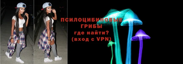 спайс Богородицк