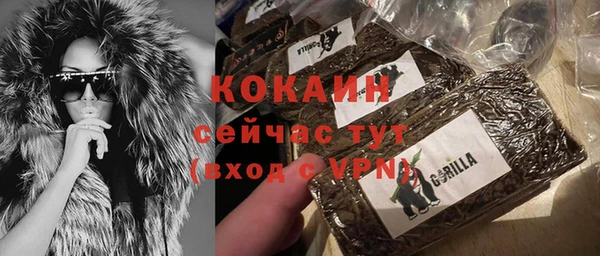 спиды Богданович