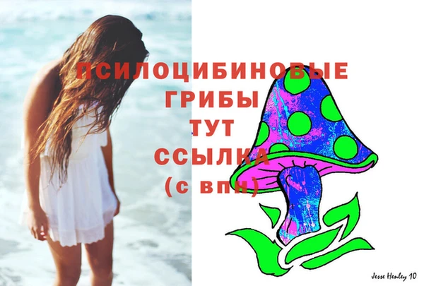 спайс Богородицк