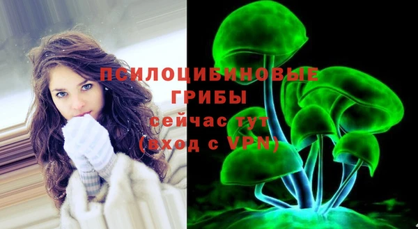 спиды Богданович