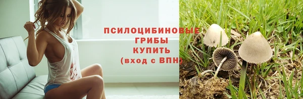 прущая мука Белоозёрский