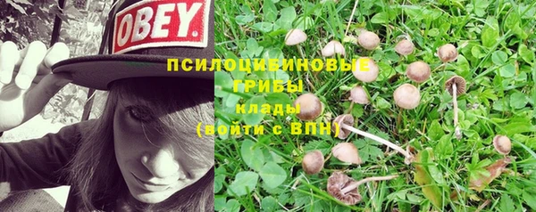 прущая мука Белоозёрский