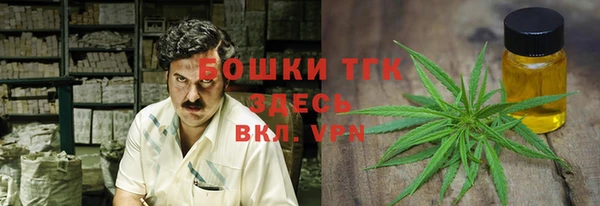 спайс Богородицк